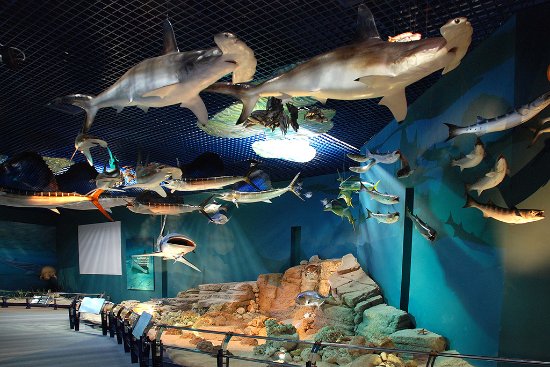 Sharjah Natural History Museum