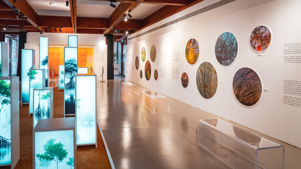 Al Qattara Art Centre