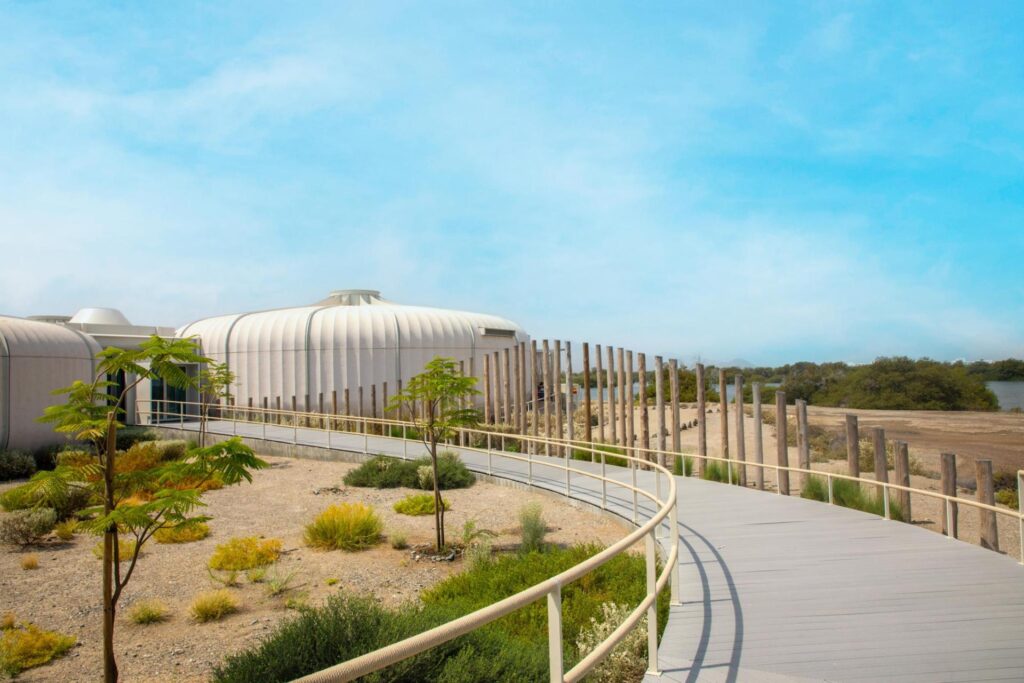 Khor Kalba Mangroves