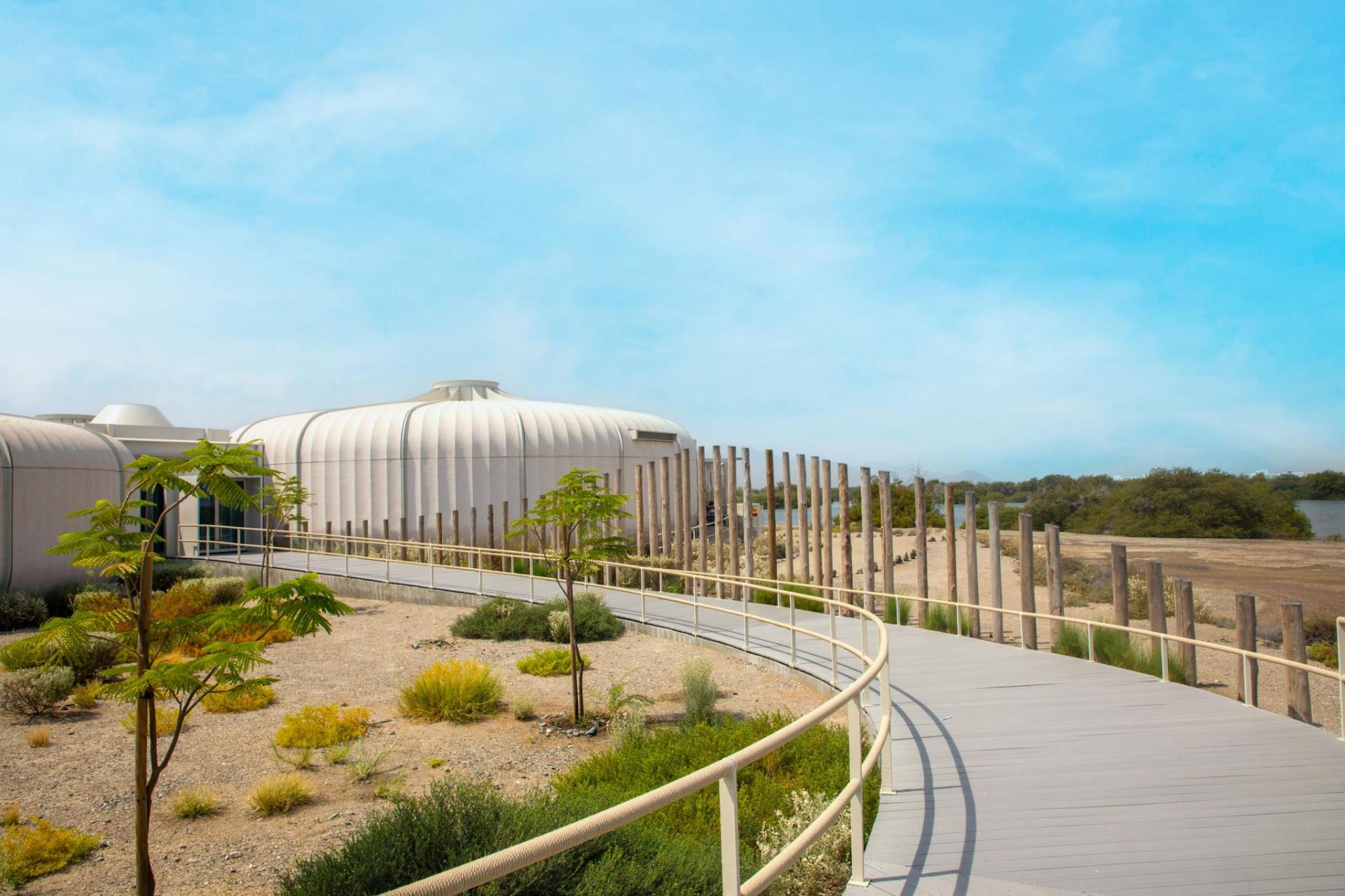 Khor Kalba Mangroves