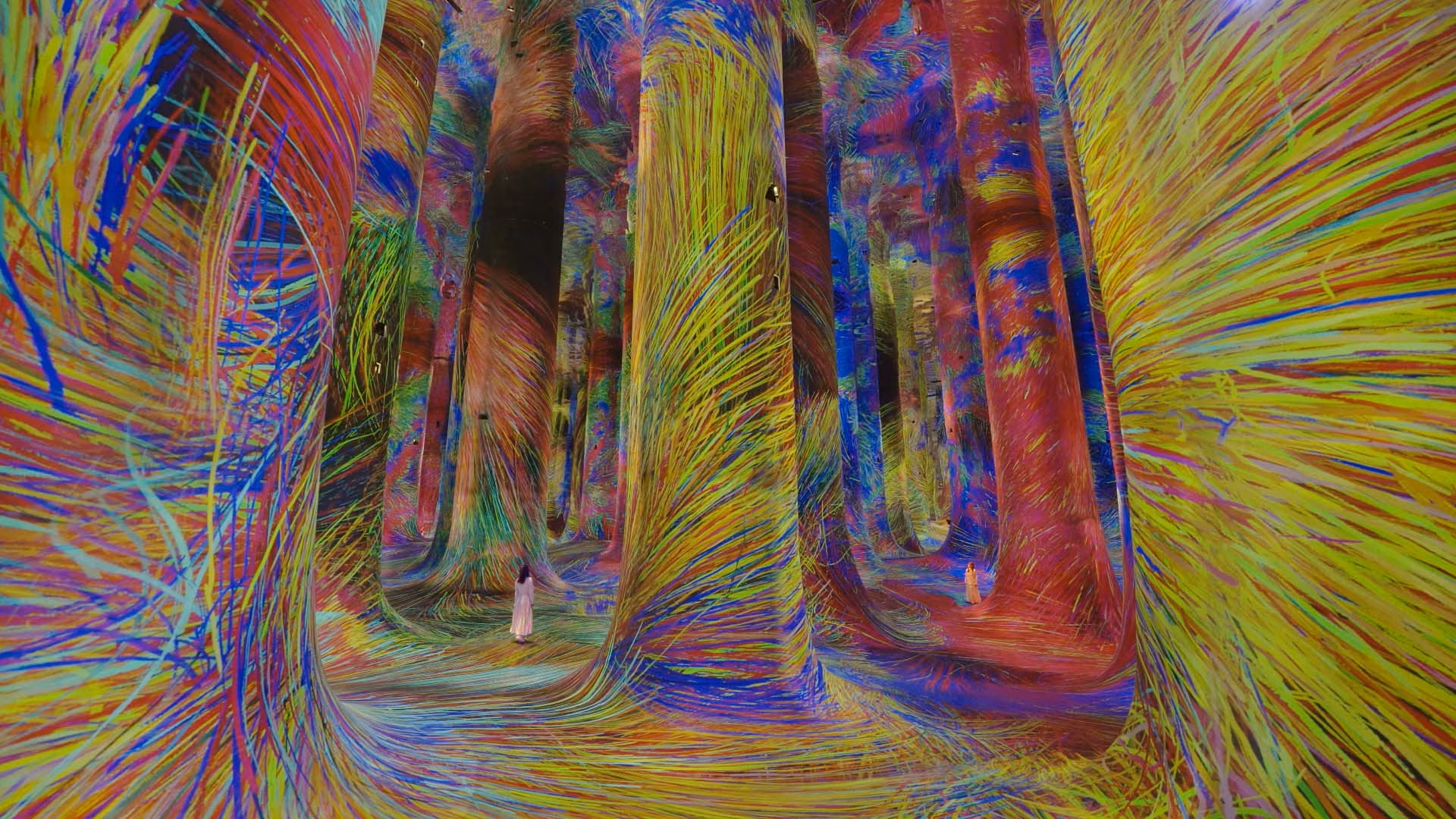 teamLab Phenomena Abu Dhabi